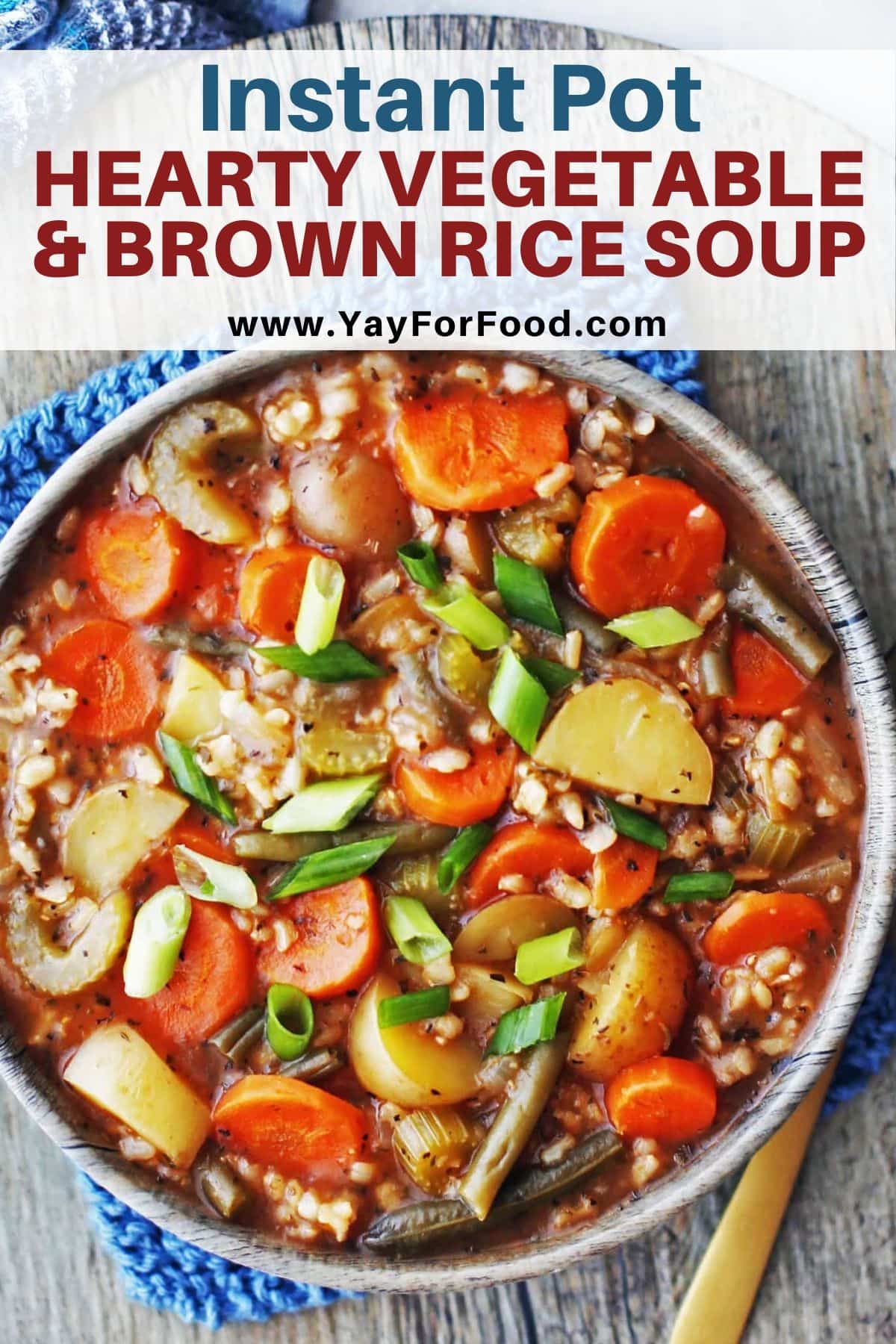 Instant Pot Hearty Vegetable and Brown Rice Soup - Yay! For Food