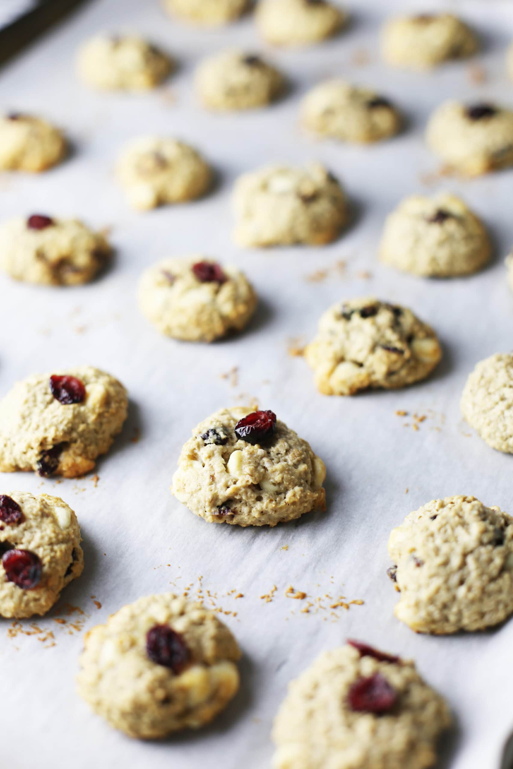 Baked white chocolate cranberry oatmeal cookies on parchment paper lined baking sheet.