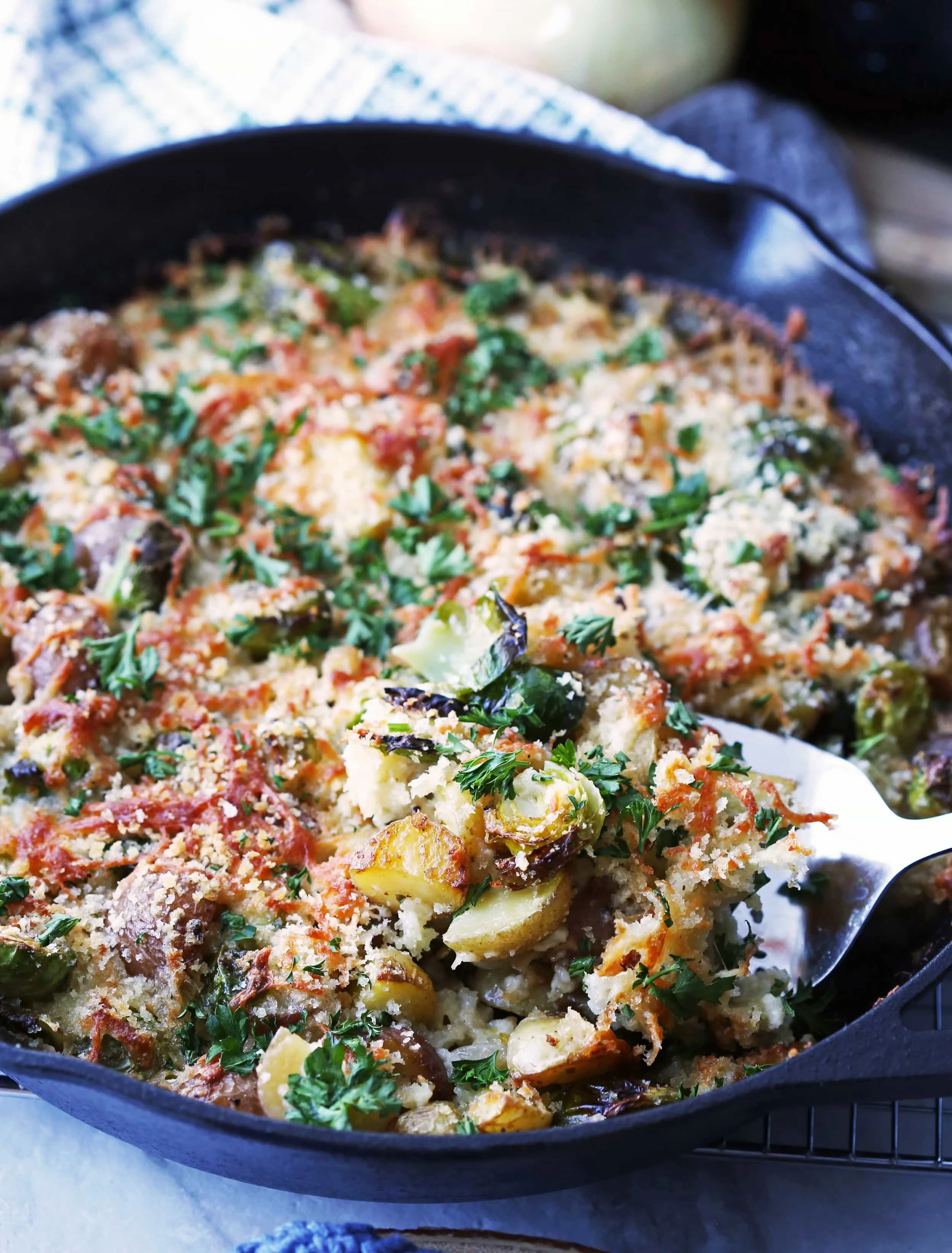 Baked Brussels Sprouts and Potato Gratin topped with crispy melted cheese, breadcrumbs, and parsley in a large cast iron skillet.