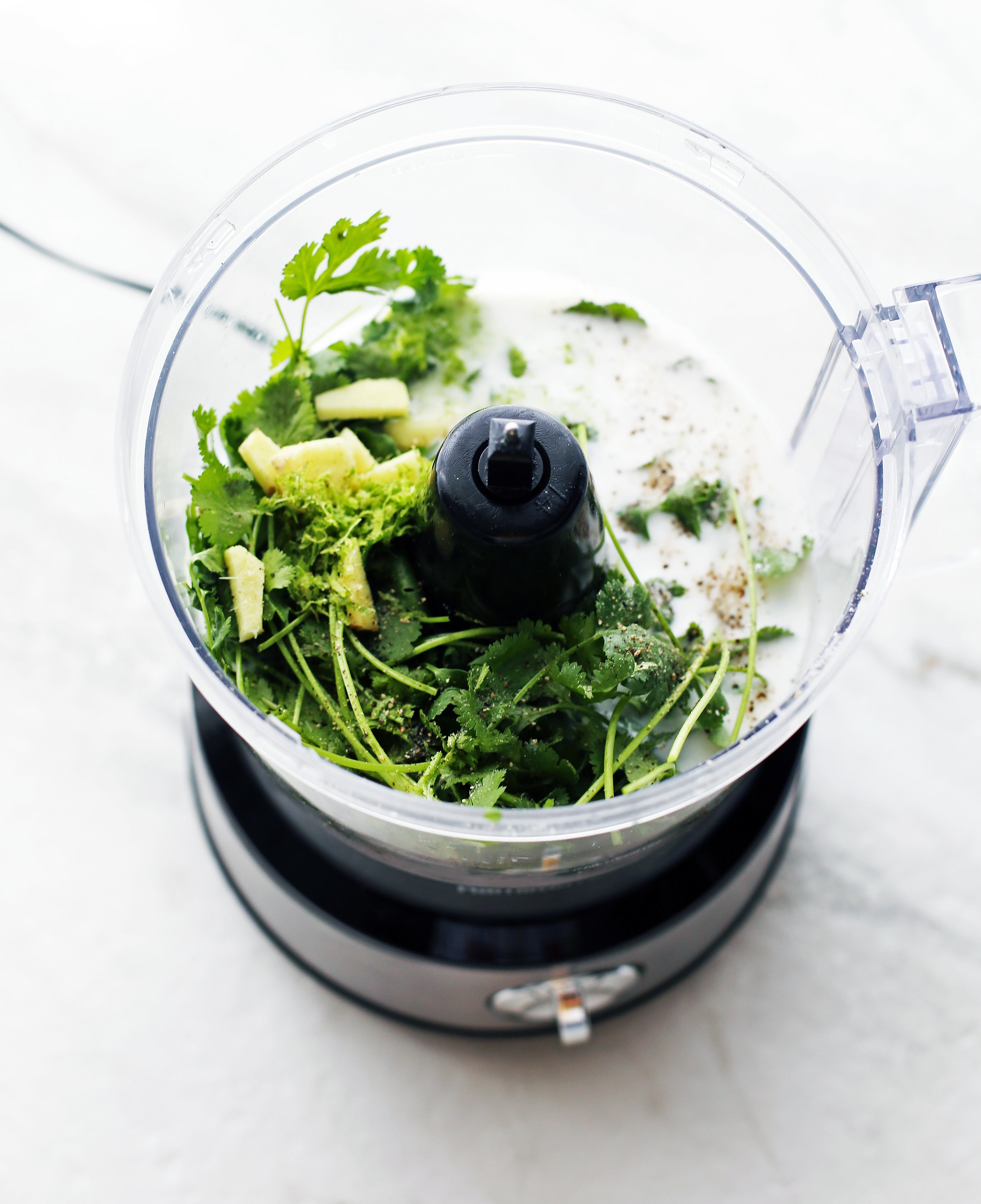 Cilantro, ginger, coconut milk, lime juice and zest, salt and pepper in a food processor.