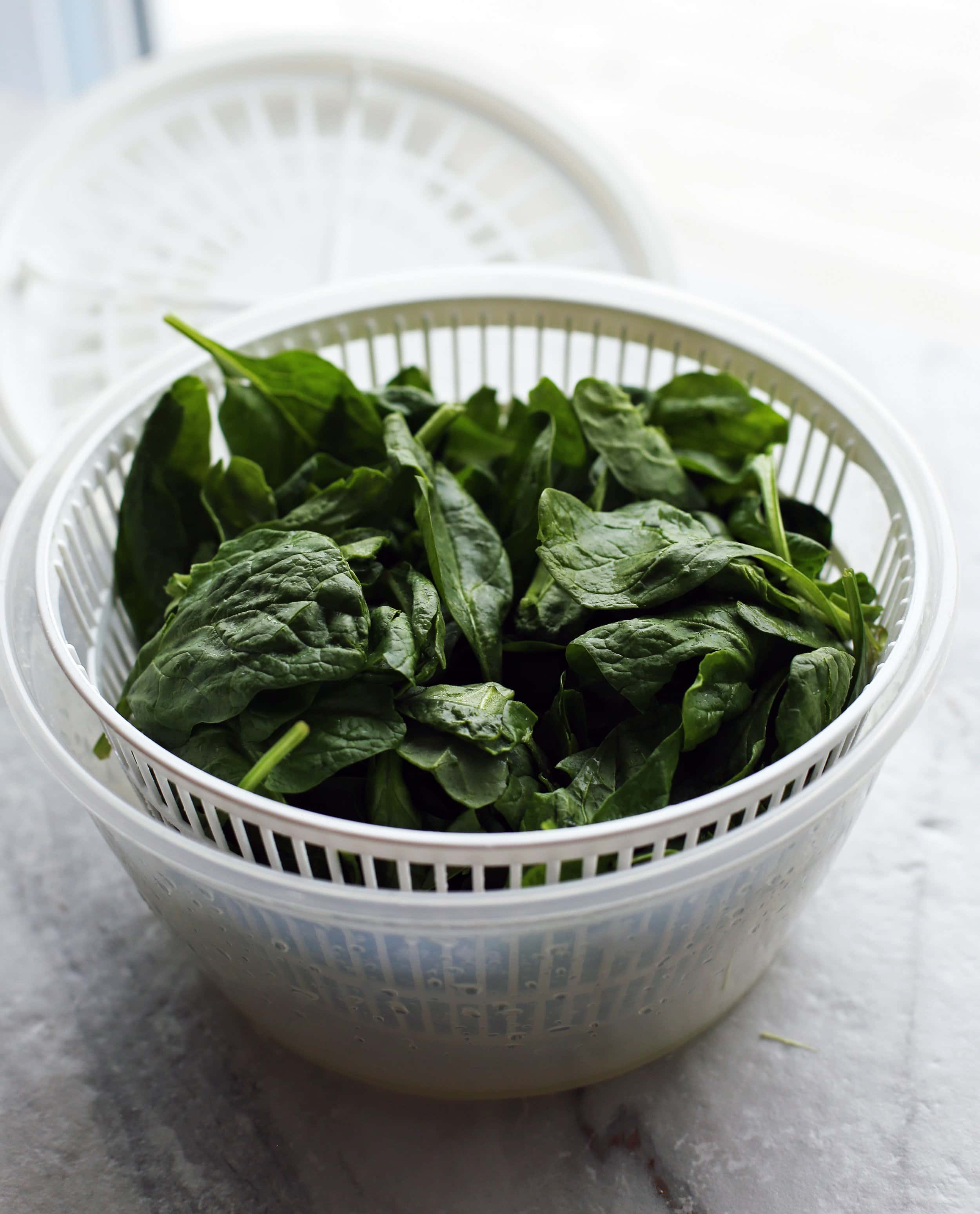 Cleaned baby spinach in a salad spinner.