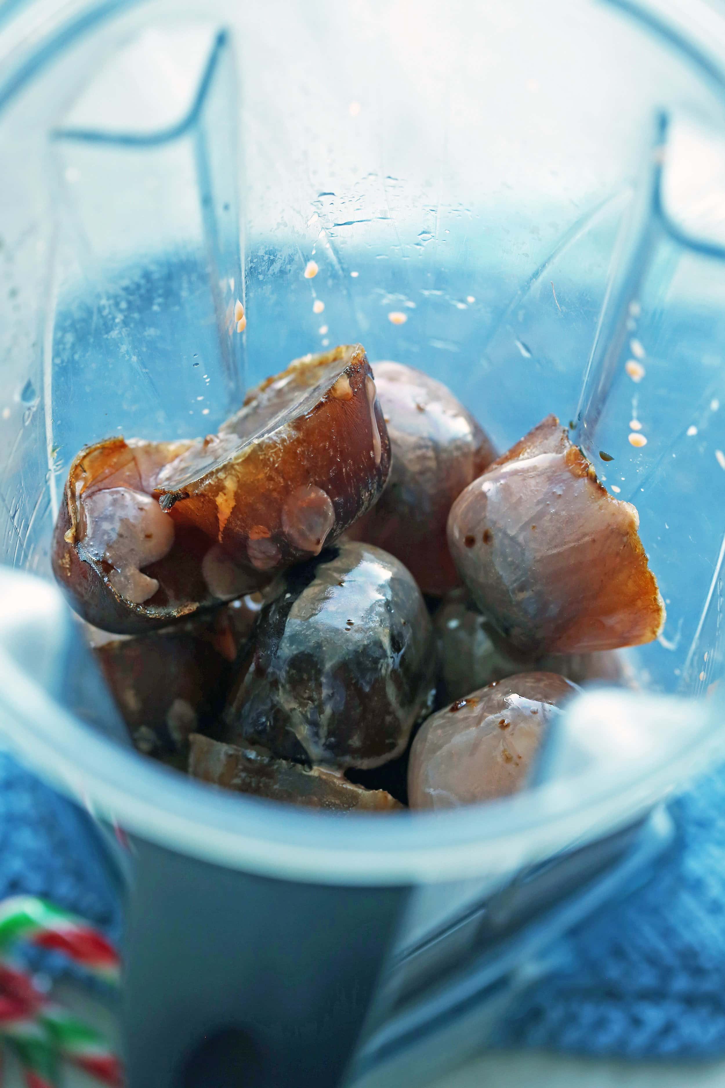Frozen coffee ice cubes in a blender container.