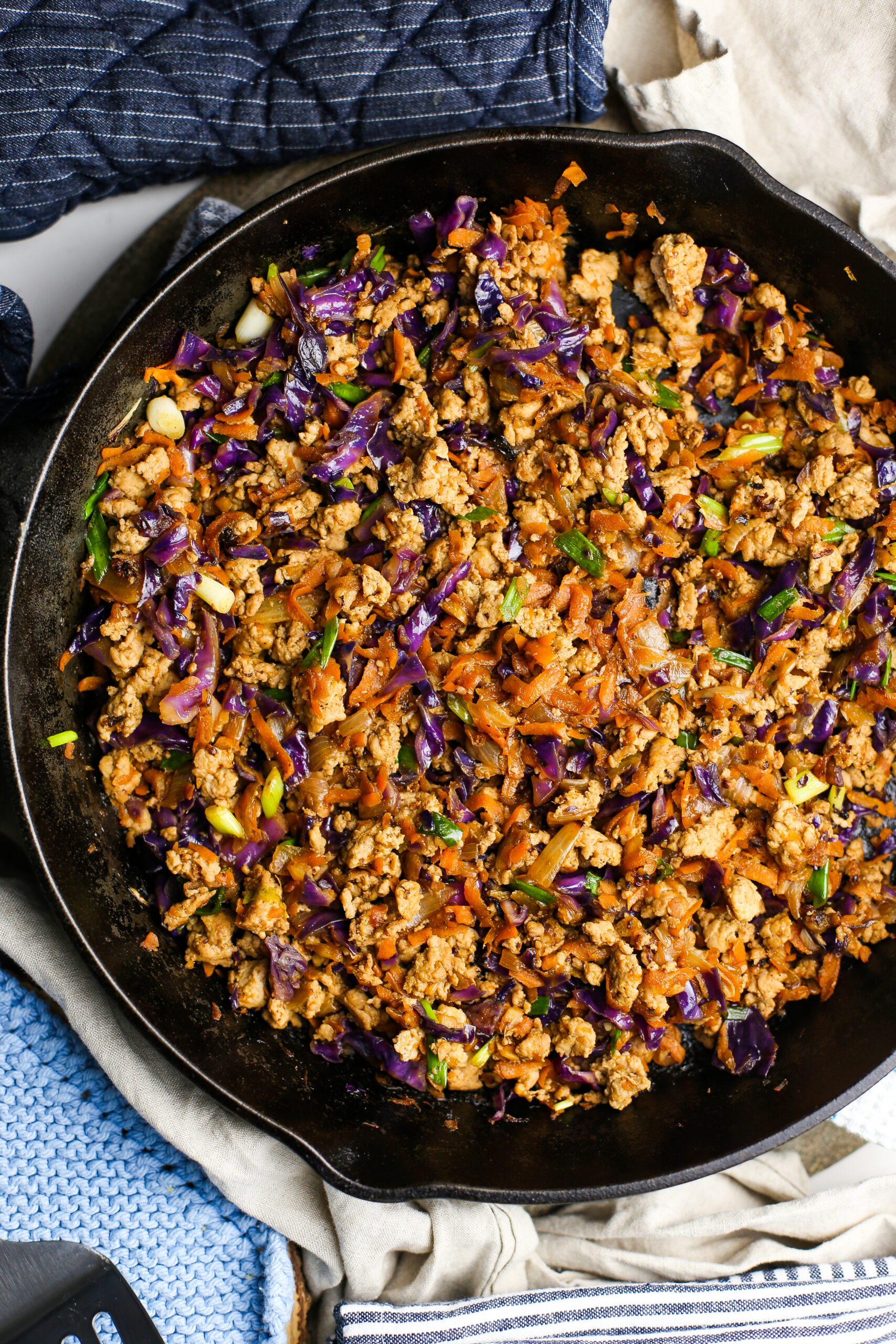 Overhead view of saucy ground chicken stir-fry with carrots, cabbage, and onions.
