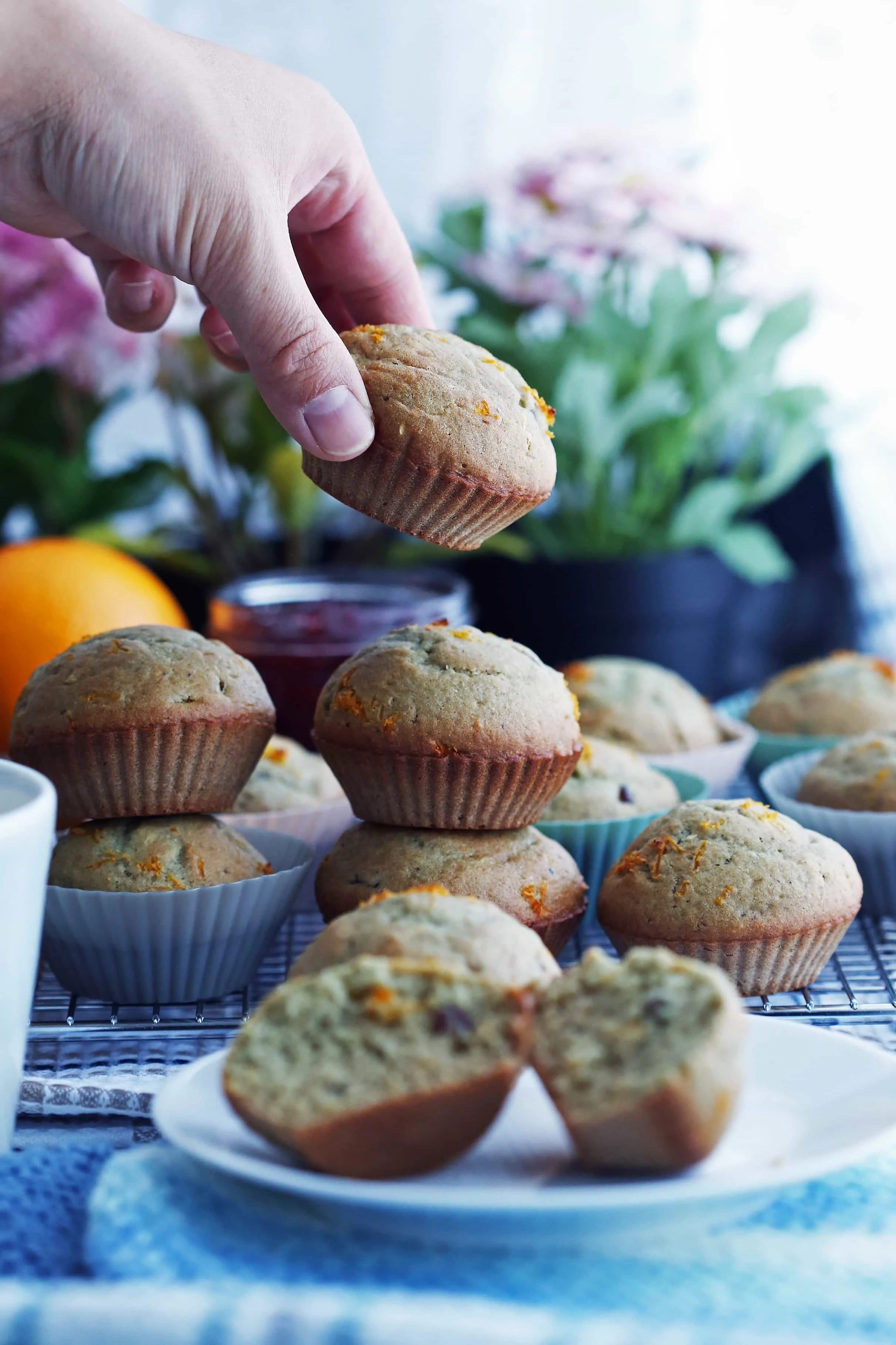 Cranberry Orange Muffins on a cooling rack and white plate. A hand placing another muffin on top of two other muffins.