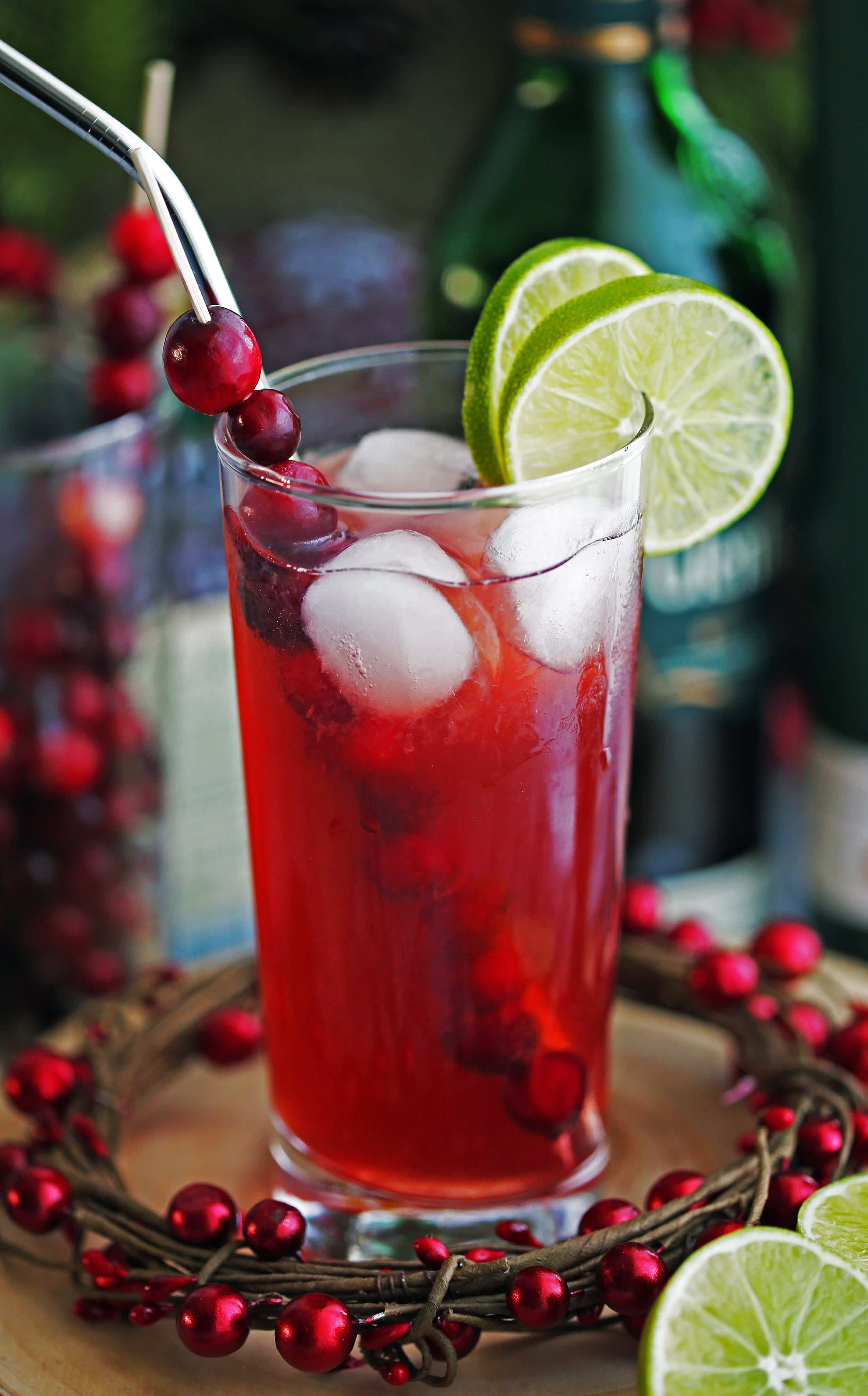 Cranberry Whiskey Ginger Cocktail