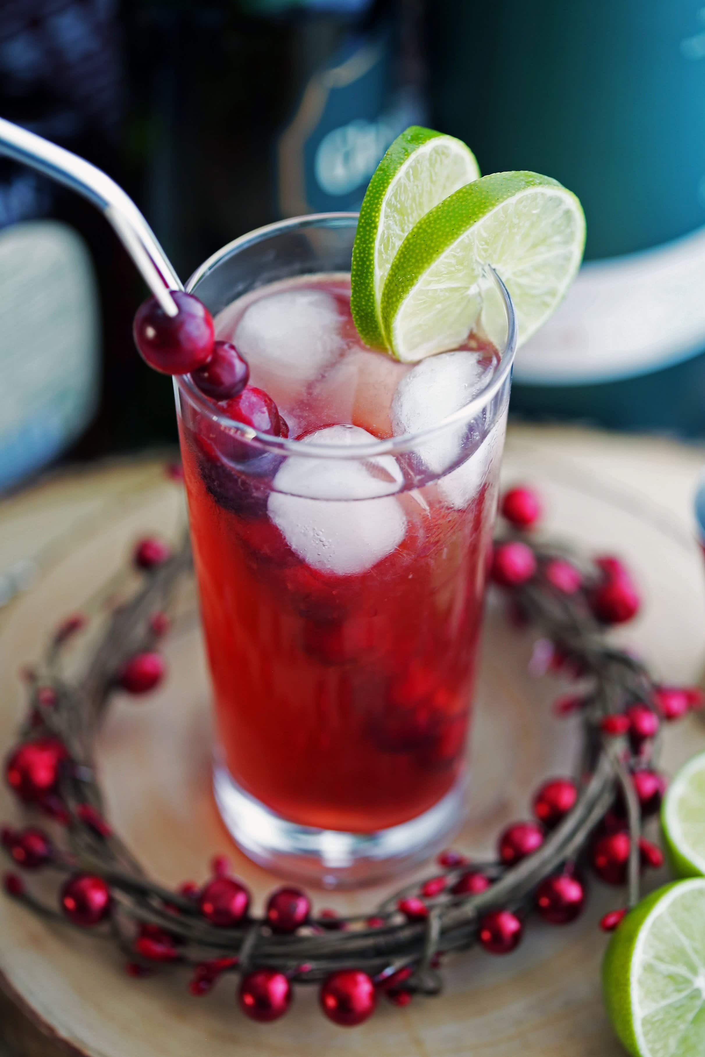 Cranberry Whiskey Ginger Cocktail in a highball glass with lime slices, fresh cranberries, ice cubes, and a stainless steel straw.