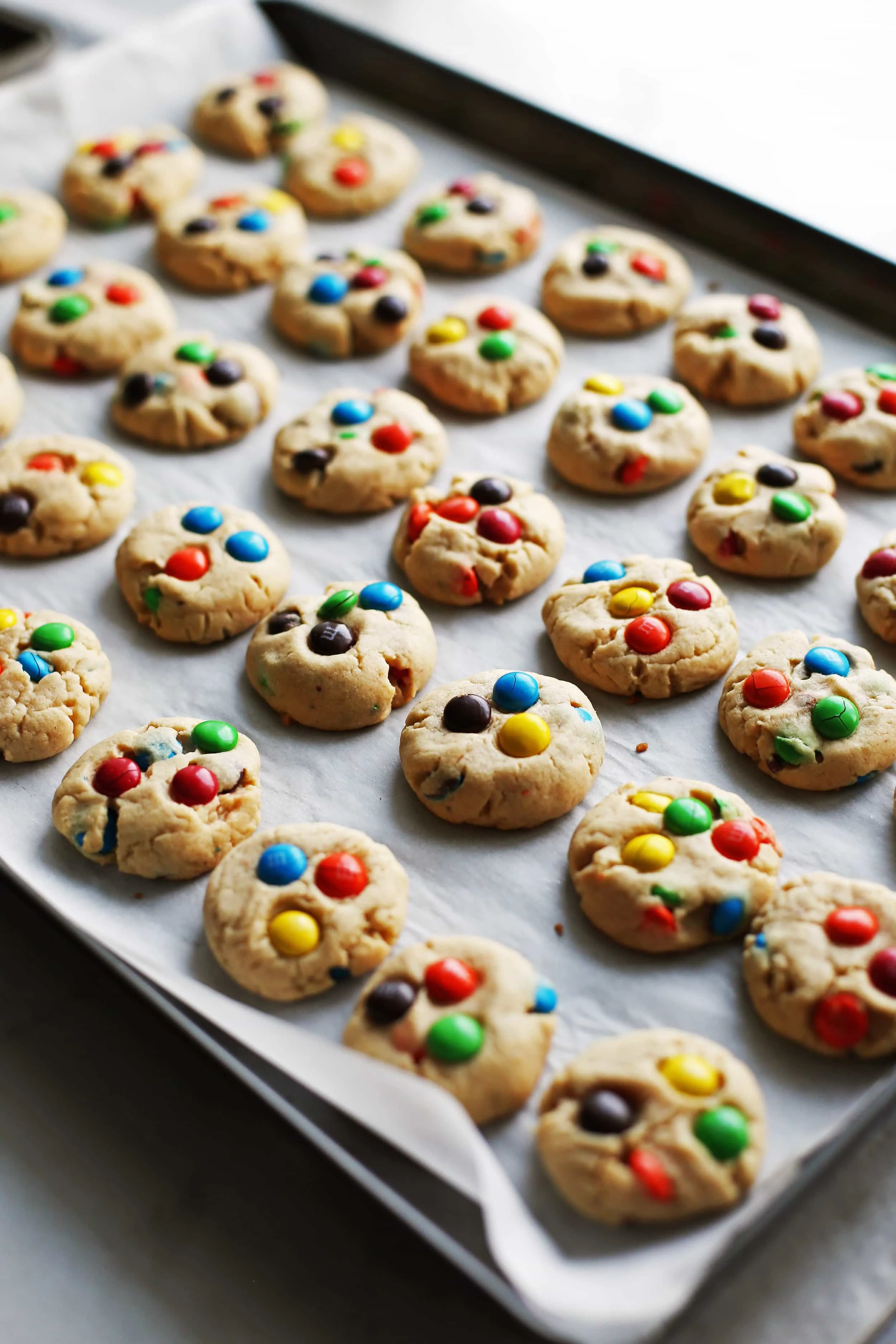 Side view of rows of baked Peanut Butter Cookies with Chocolate M&M's on a parchment paper-lined baking sheet.