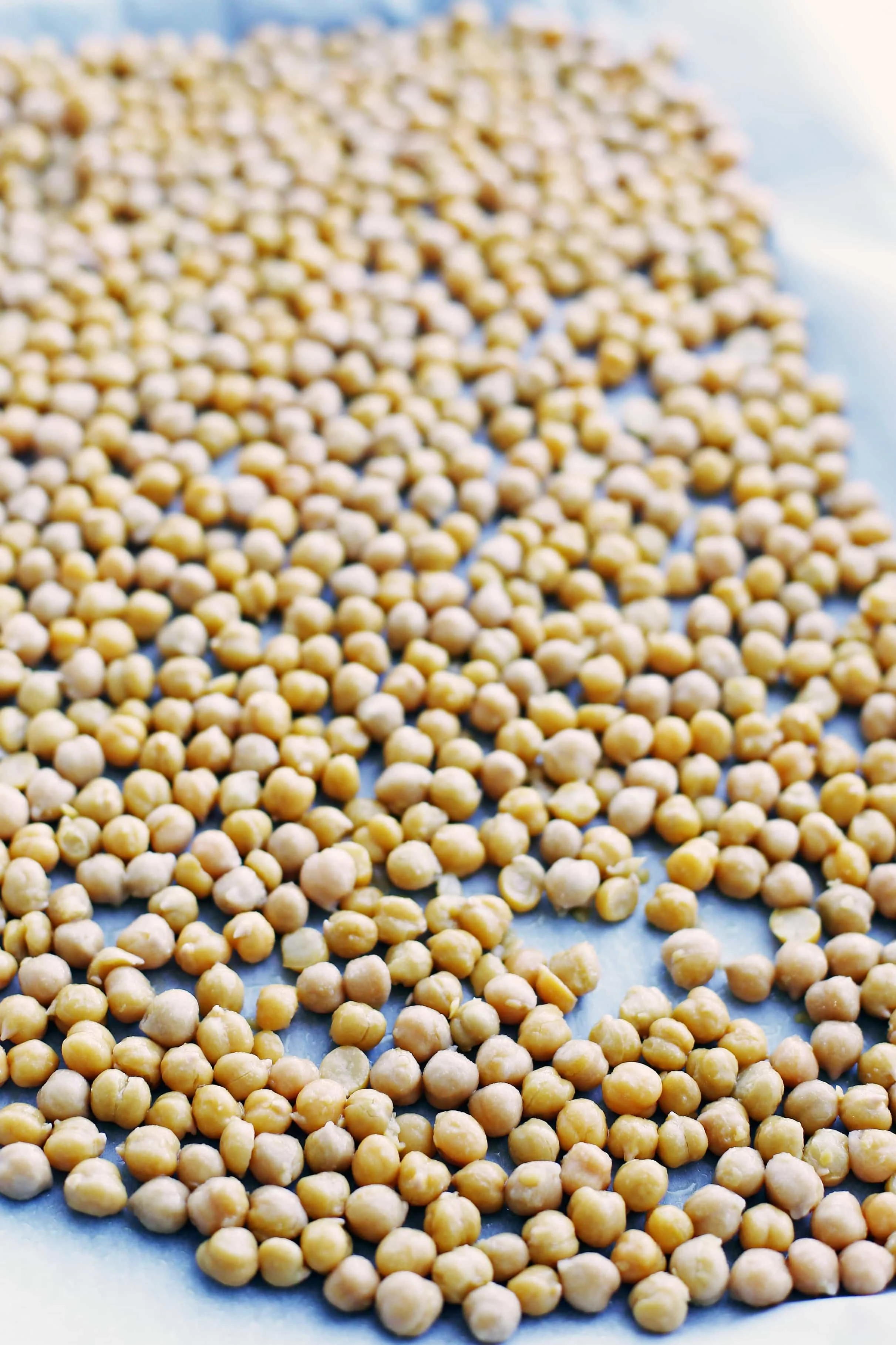 Rinsed and drained cooked chickpeas tossed in salt and olive oil on a parchment lined baking sheet.
