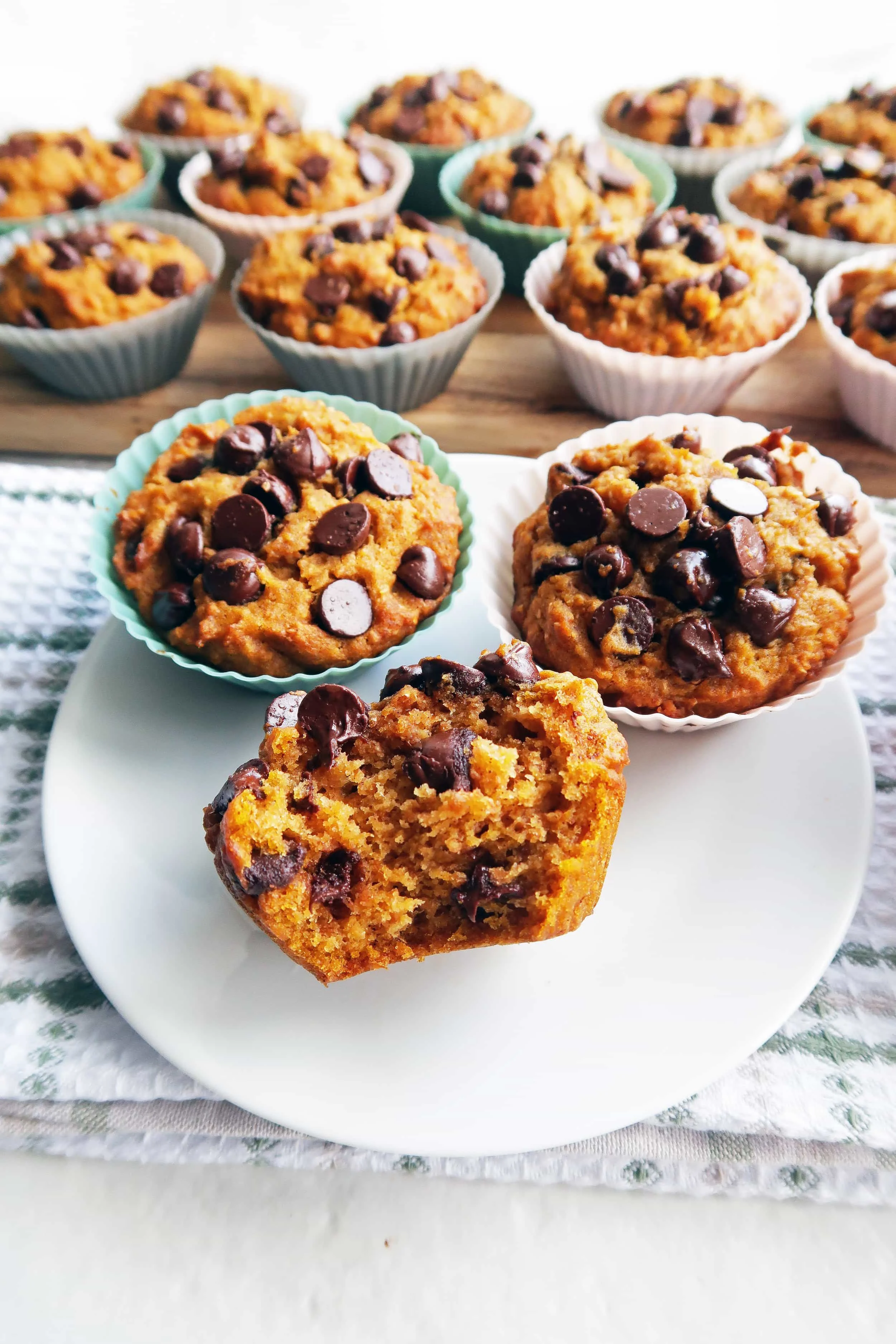 Close-up shot of a pumpkin chocolate chip whole wheat muffin with a big bite taken out of it with muffins in the background.