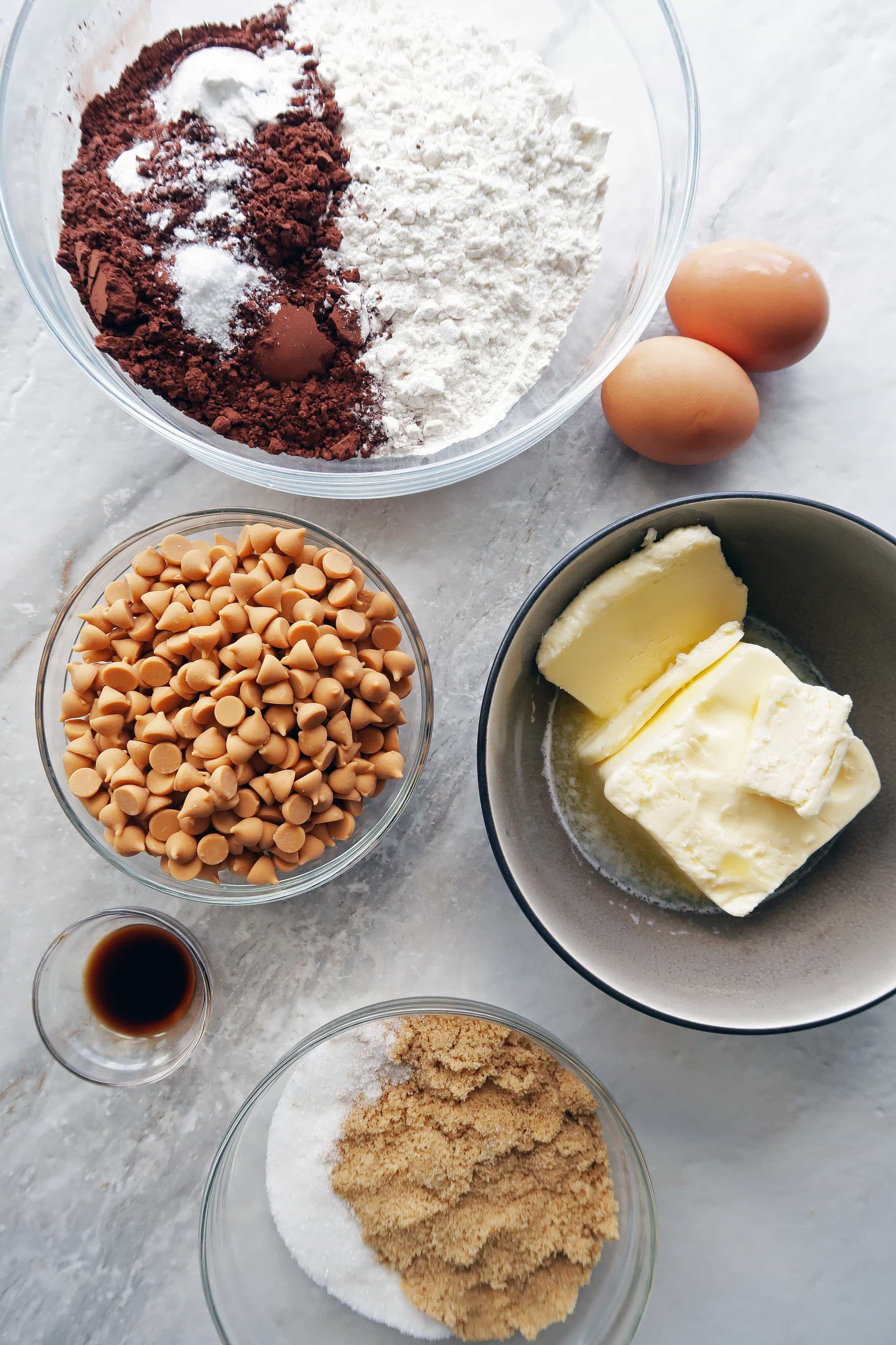 Many bowls filled with cocoa powder, flour mixture, sugar, butterscotch chips, eggs, butter, and vanilla.