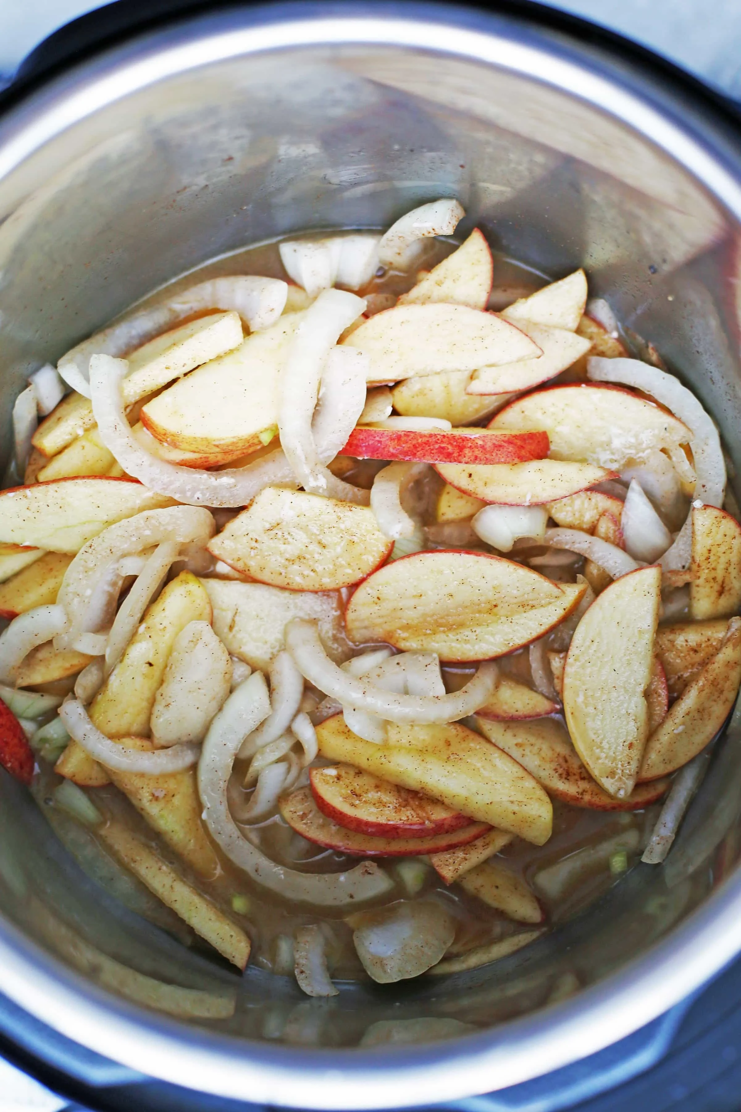 Sliced apples, sliced onions, ground cinnamon, lemon juice, salt, and chicken broth in an Instant Pot.