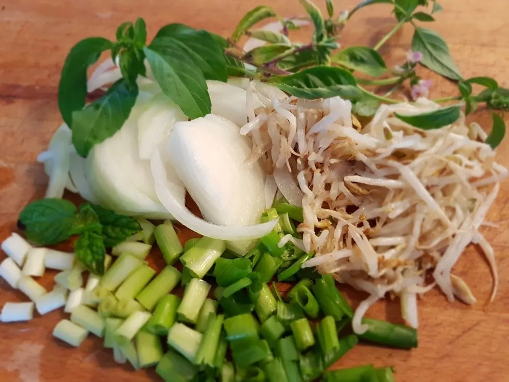 Chopped onions, green onions, bean sprouts, and Thai basil.