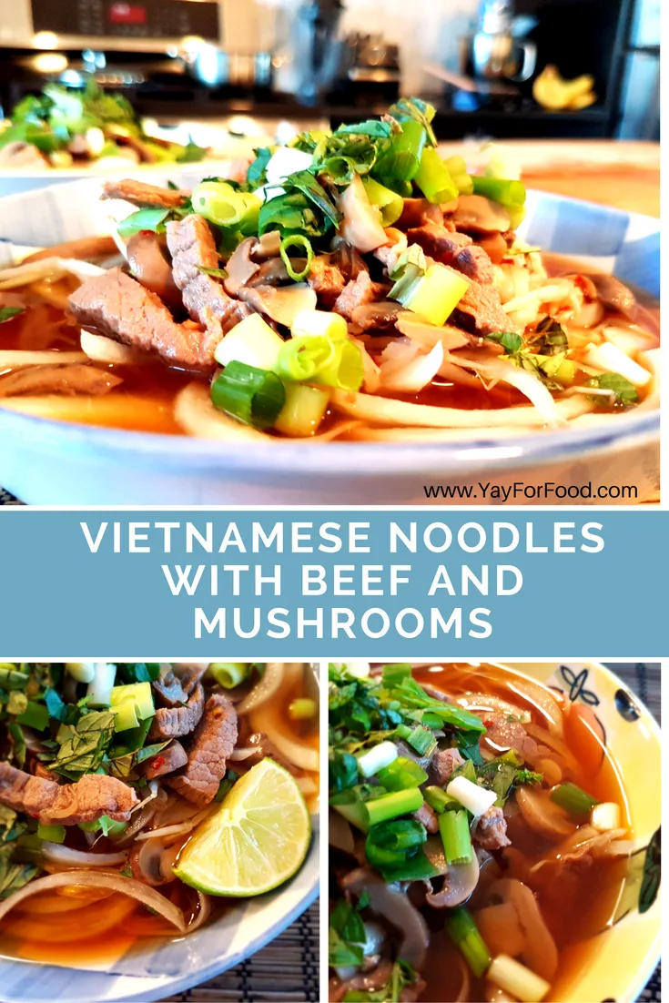 Vietnamese Noodles with Beef and Mushrooms - Yay! For Food